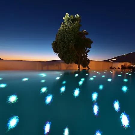 酒店 米科诺斯大酒店及度假村 5*